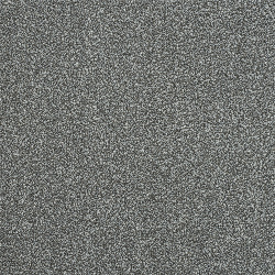 fossil_953237842