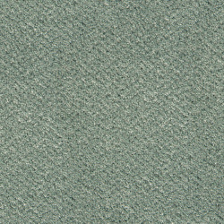 spearmint_505871668